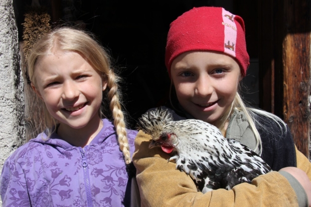 Appenzeller Spitzhauben