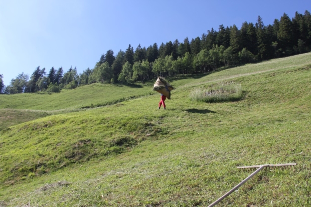 Ferien beim Wildheuen