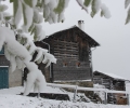 Den Wintereinbruch im Stallhaus erleben