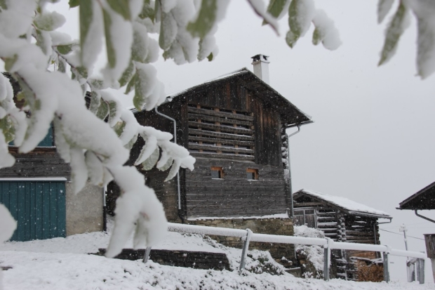 Den Wintereinbruch im Stallhaus erleben