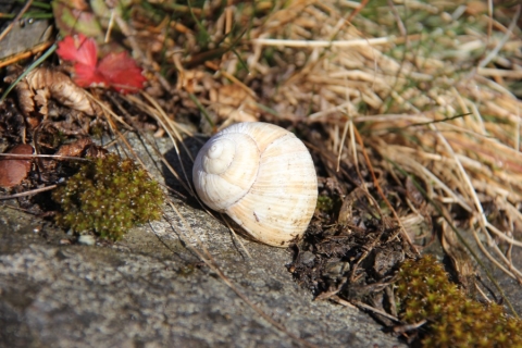 Herbst in den Bergen