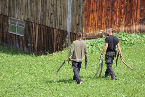 Ein Herzenswunsch: Der Sensenmähkurs und der Hausstall