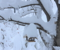 Schneezauber