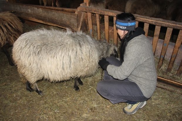 Ein Jahr “Einmalige Angebote”