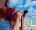Die Alpzeit läuft!